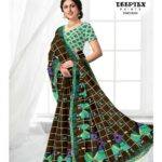 Deeptex Kalamkari Saree