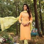 Ogaan Rayon Embroidery Kurti